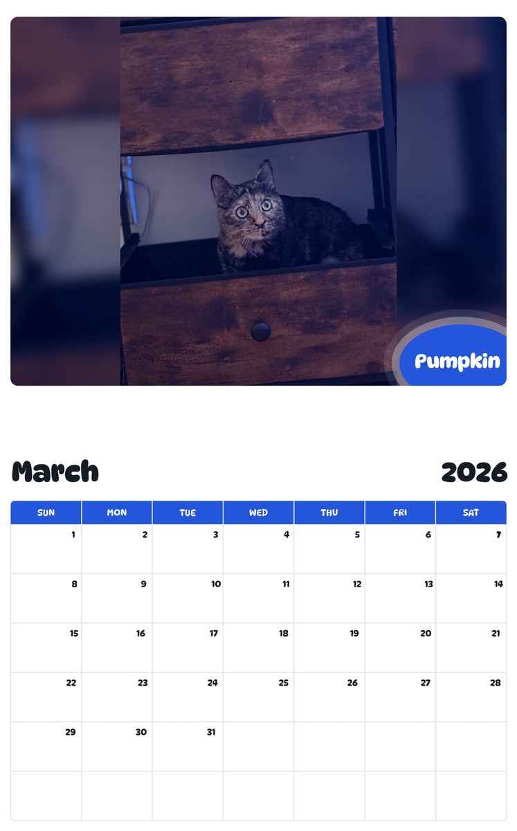 November 2025 - October 2026 Pumpkin - Pawidols Pet Calendar