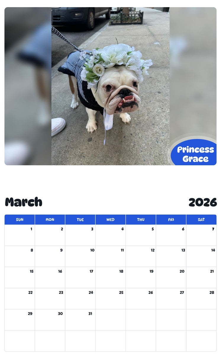 November 2025 - October 2026 Princess Grace - Pawidols Pet Calendar