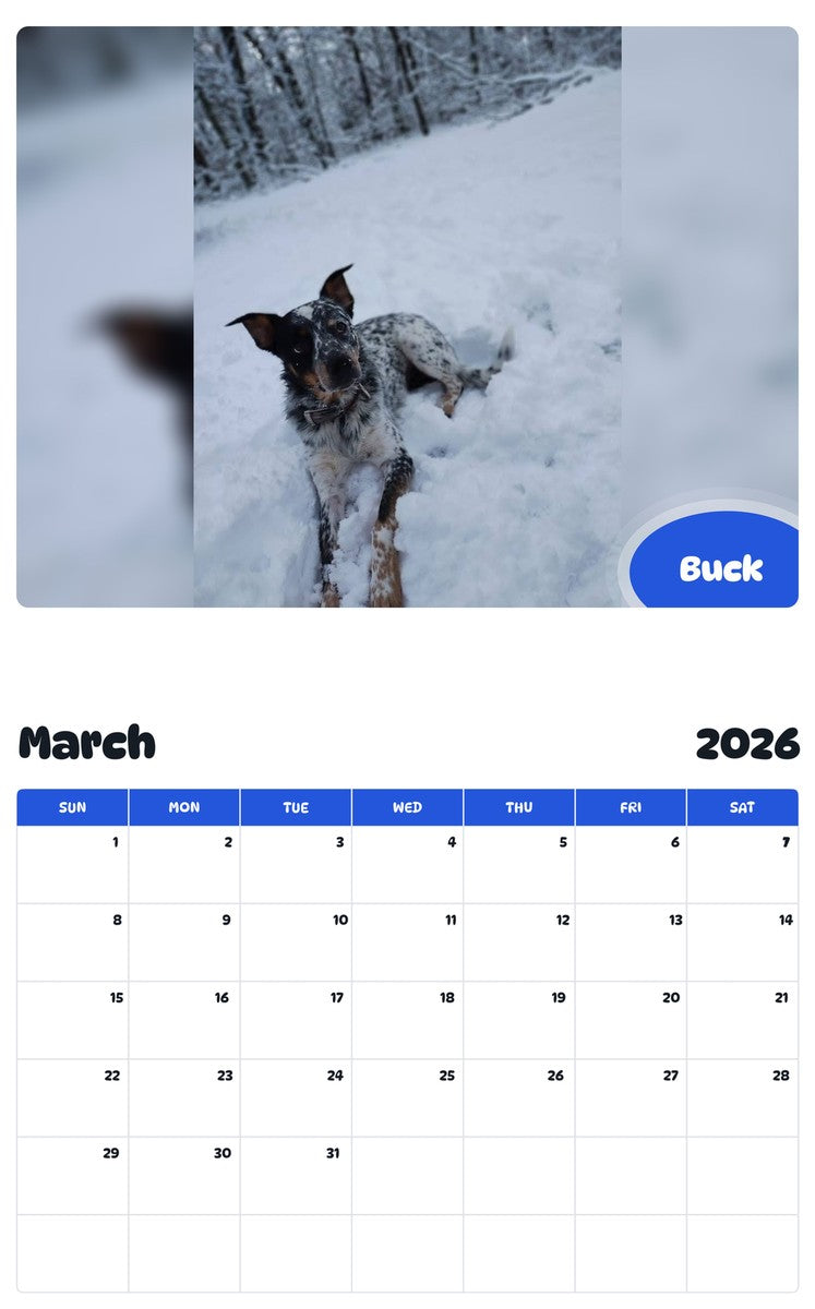 November 2025 - October 2026 Buck - Pawidols Pet Calendar
