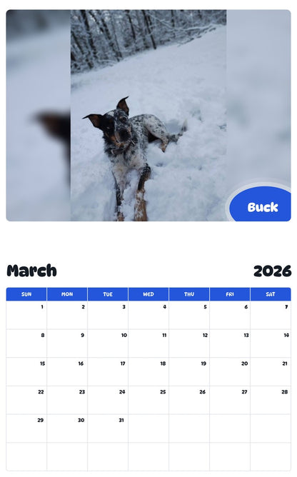 November 2025 - October 2026 Buck - Pawidols Pet Calendar