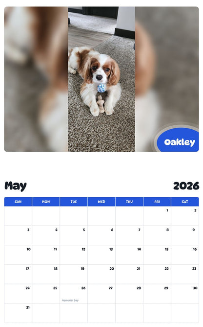 2026 - 2027 Oakley - Pawidols Pet Calendar