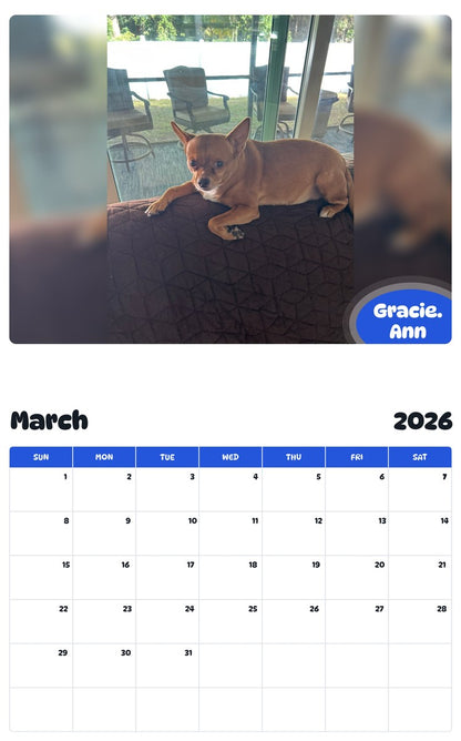 November 2025 - October 2026 Gracie. Ann - Pawidols Pet Calendar