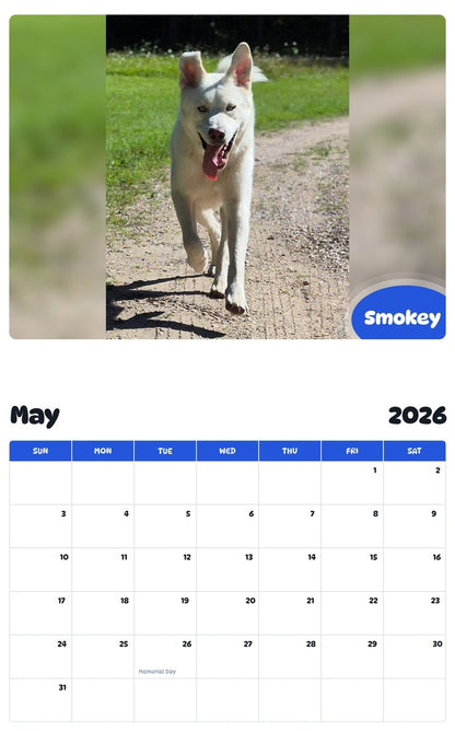 2026 - 2027 Smokey - Pawidols Pet Calendar