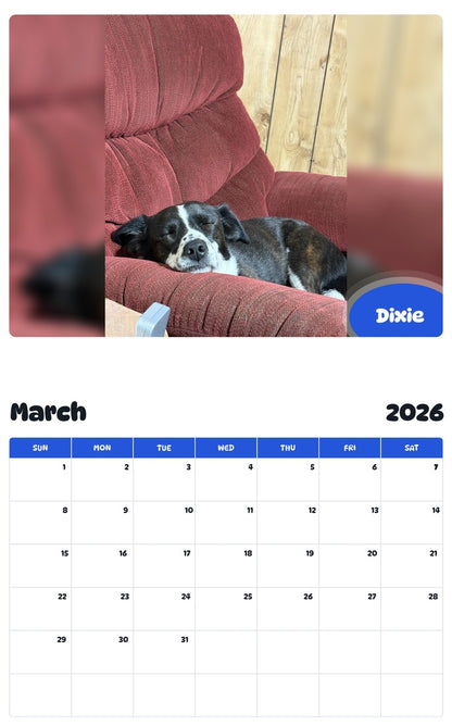 November 2025 - October 2026 Dixie - Pawidols Pet Calendar