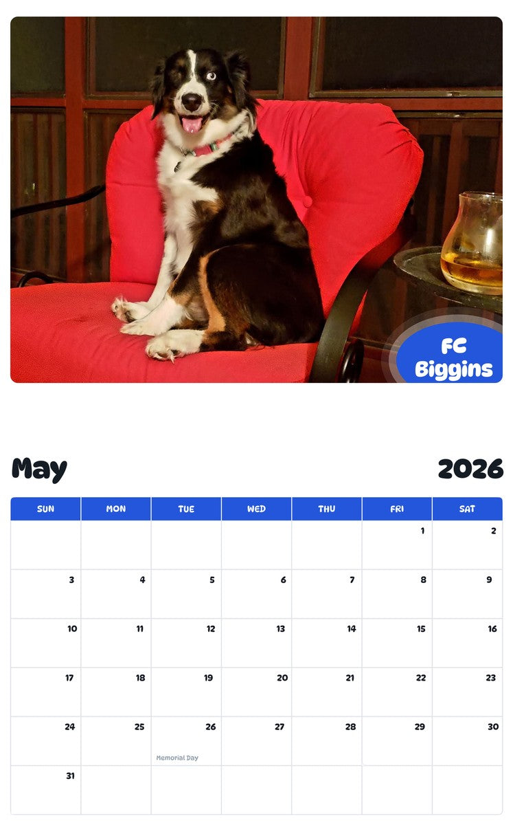 2026 - 2027 FC Biggins - Pawidols Pet Calendar