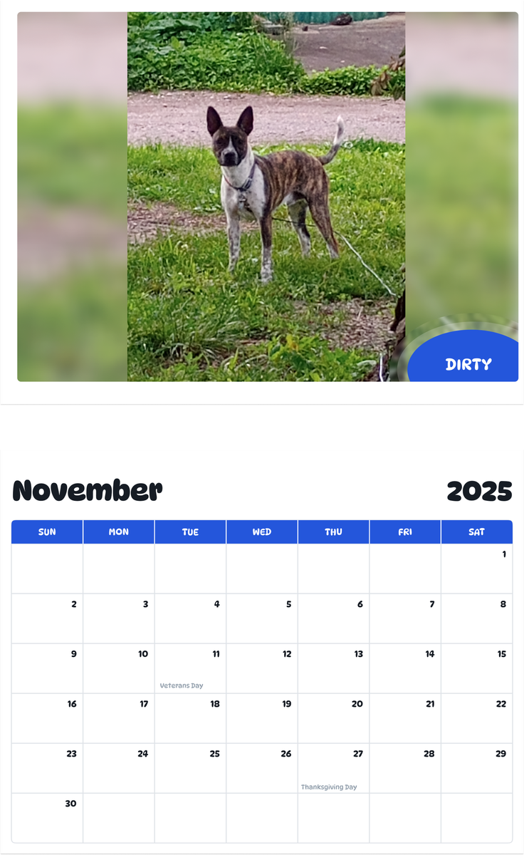 July 2025 - June 2026 Dirty - Pawidols Pet Calendar