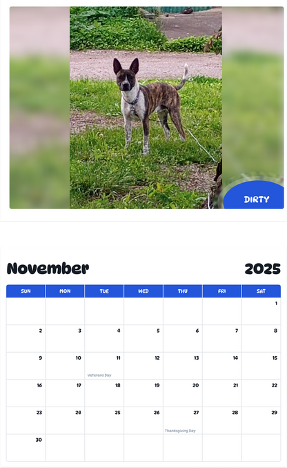 July 2025 - June 2026 Dirty - Pawidols Pet Calendar