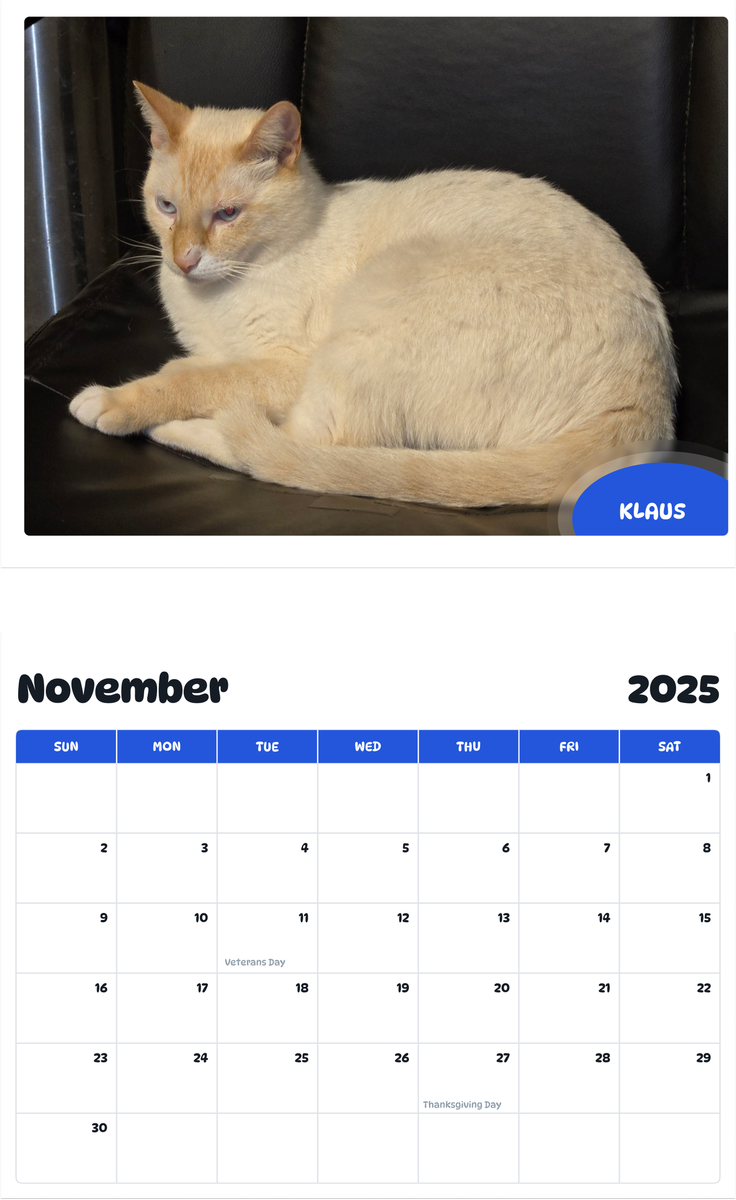 July 2025 - June 2026 Klaus - Pawidols Pet Calendar