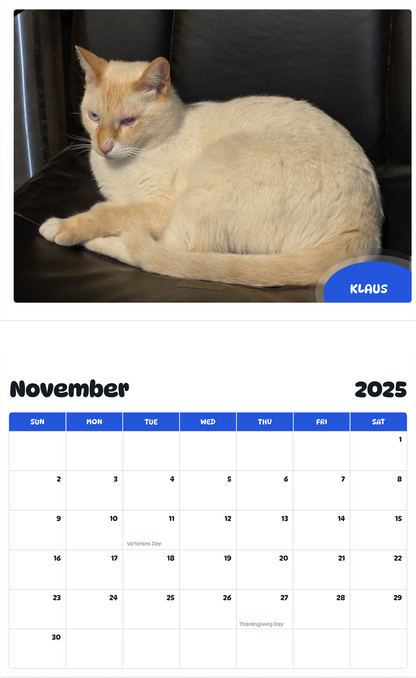 July 2025 - June 2026 Klaus - Pawidols Pet Calendar
