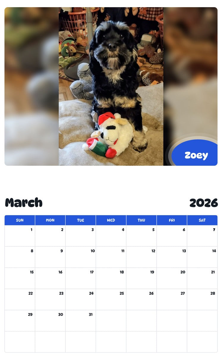 November 2025 - October 2026 Zoey - Pawidols Pet Calendar