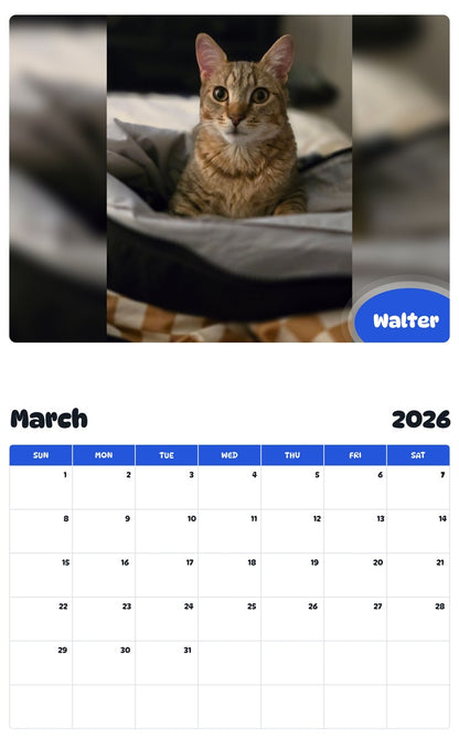November 2025 - October 2026 Walter - Pawidols Pet Calendar