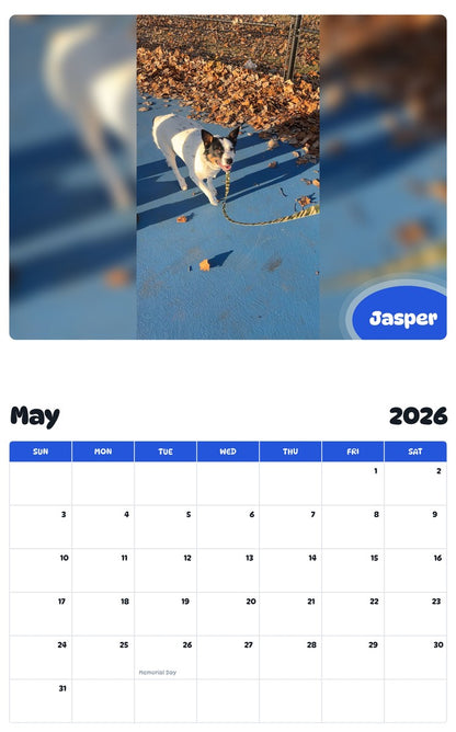 2026 - 2027 Jasper - Pawidols Pet Calendar
