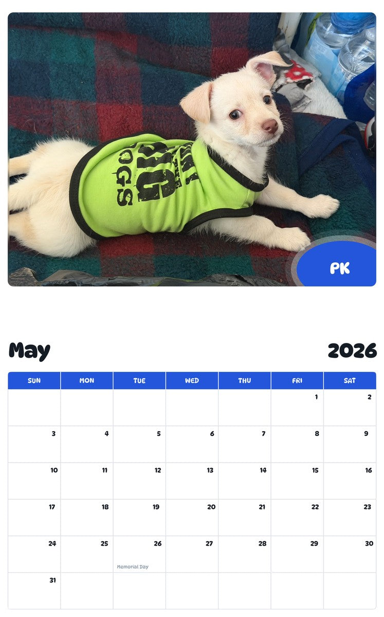2026 - 2027 PK - Pawidols Pet Calendar