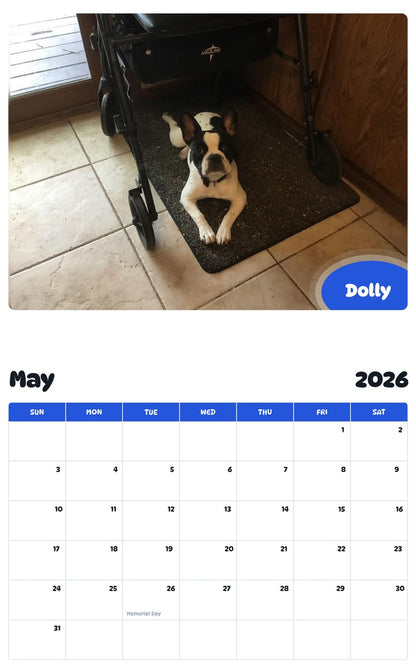 2026 - 2027 Dolly - Pawidols Pet Calendar