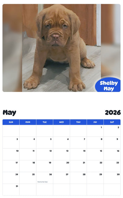2026 - 2027 Shelby May - Pawidols Pet Calendar