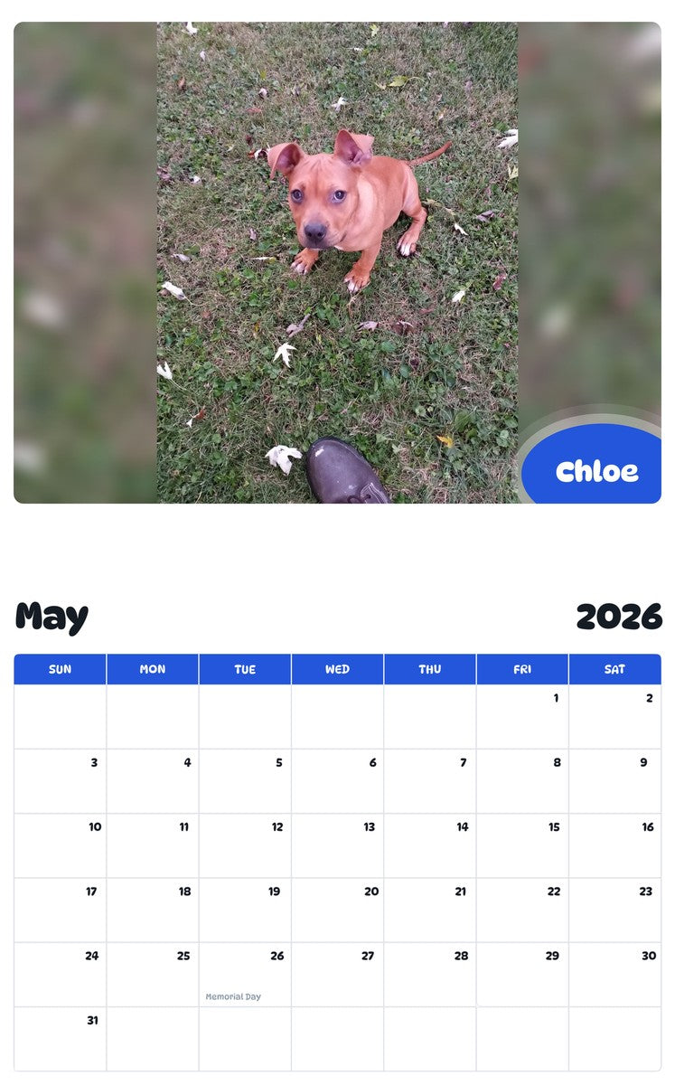 2026 - 2027 Chloe - Pawidols Pet Calendar