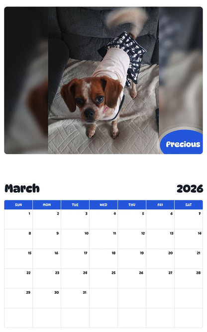 November 2025 - October 2026 Precious - Pawidols Pet Calendar