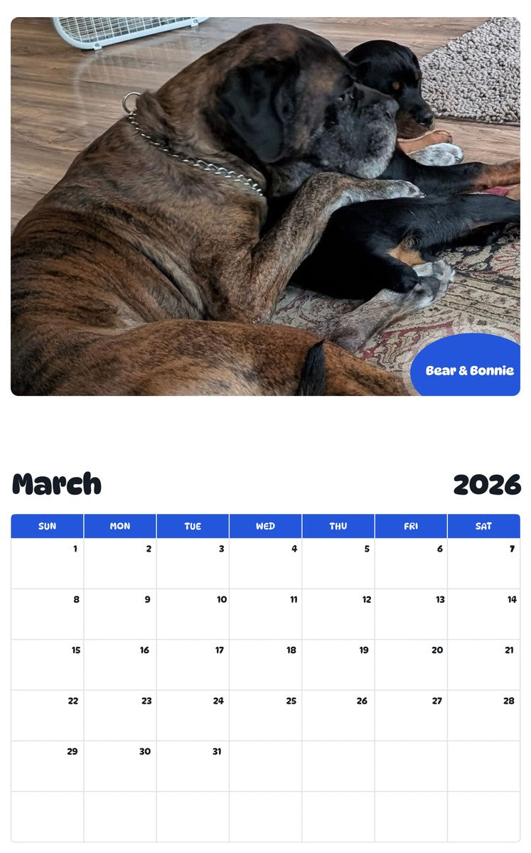 November 2025 - October 2026 Bear & Bonnie - Pawidols Pet Calendar