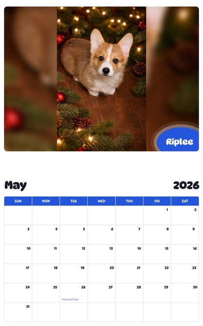 2026 - 2027 Riplee - Pawidols Pet Calendar