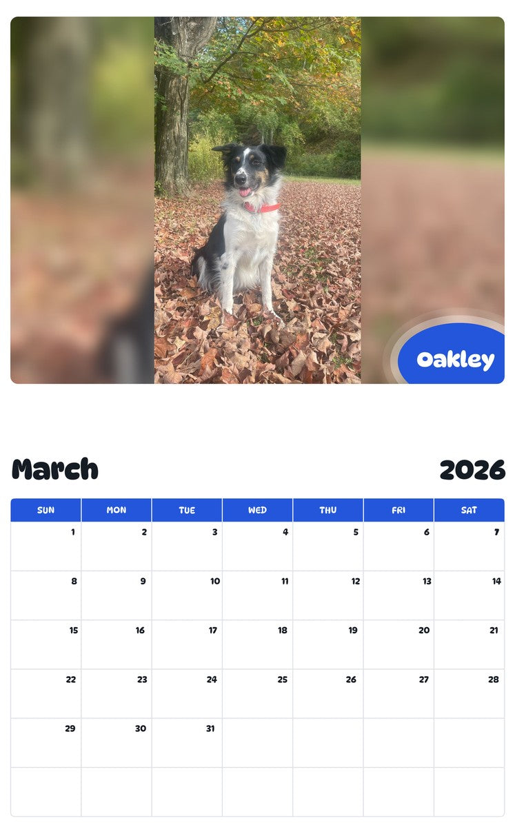 November 2025 - October 2026 Oakley - Pawidols Pet Calendar