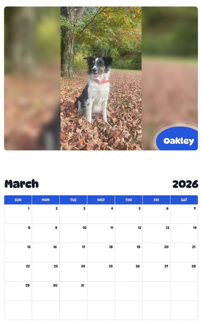 November 2025 - October 2026 Oakley - Pawidols Pet Calendar