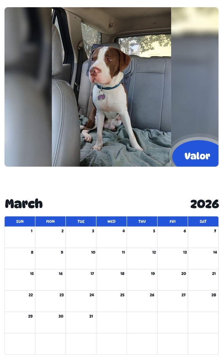 November 2025 - October 2026 Valor - Pawidols Pet Calendar