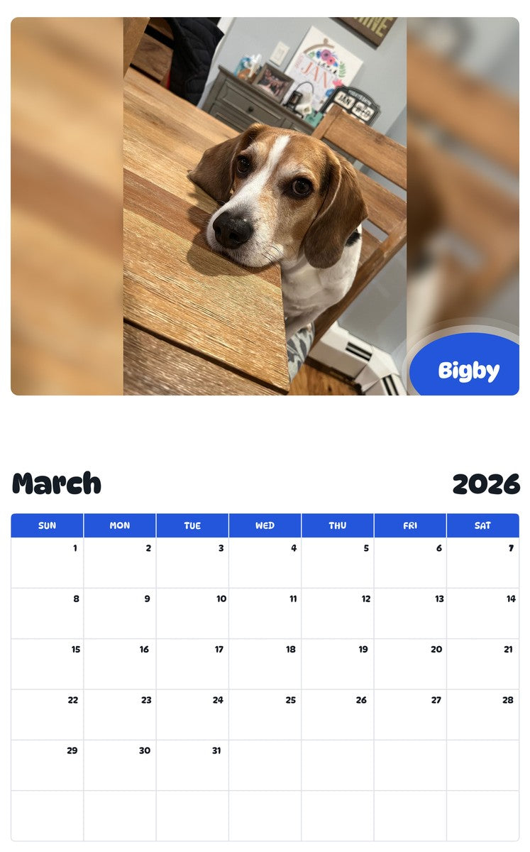 November 2025 - October 2026 Bigby - Pawidols Pet Calendar