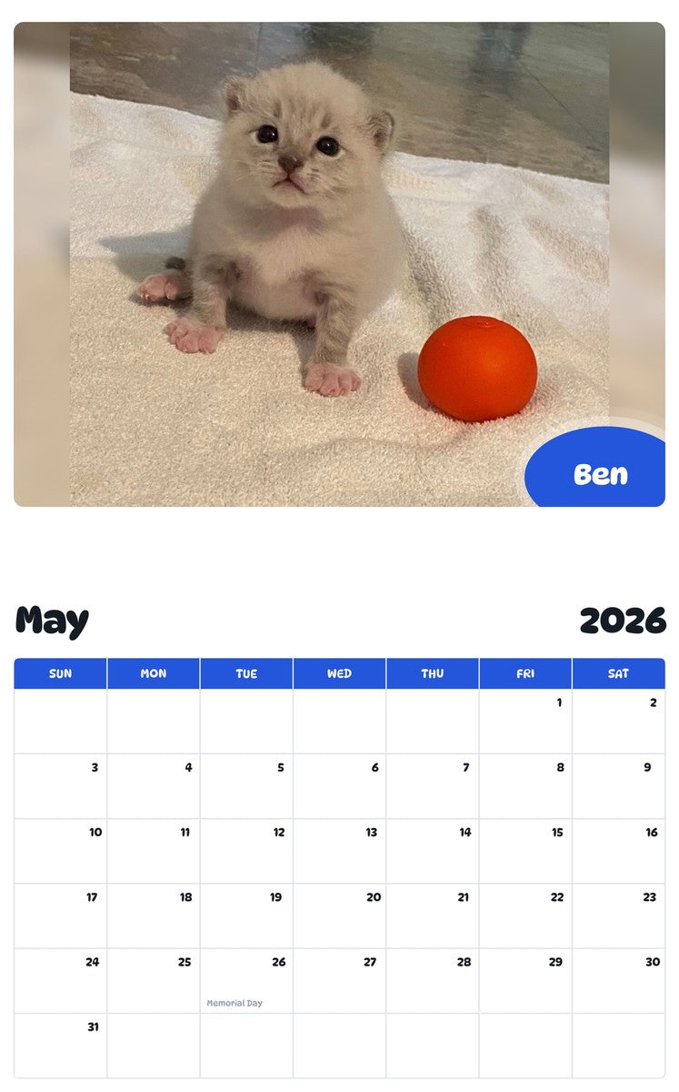2026 - 2027 Ben - Pawidols Pet Calendar