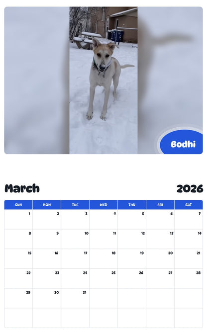 November 2025 - October 2026 Bodhi - Pawidols Pet Calendar