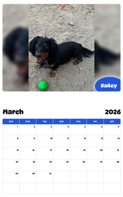November 2025 - October 2026 Bailey - Pawidols Pet Calendar