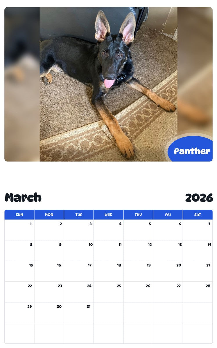 November 2025 - October 2026 Panther - Pawidols Pet Calendar