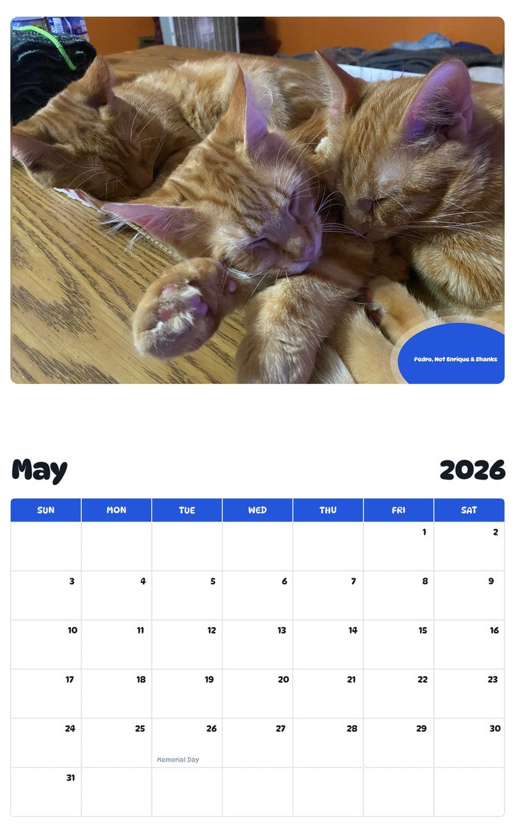 2026 - 2027 Pedro, Not Enrique & Shanks - Pawidols Pet Calendar