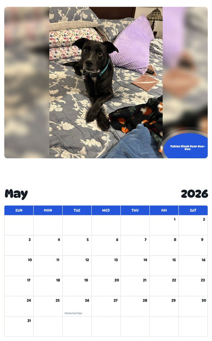 2026 - 2027 Tobias Black Bear Roo-Roo - Pawidols Pet Calendar
