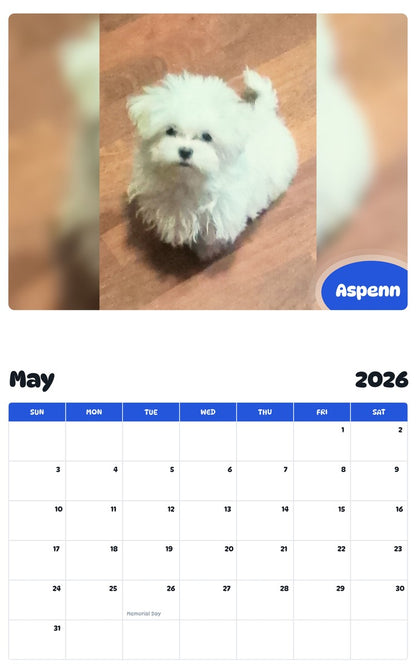 2026 - 2027 Aspenn - Pawidols Pet Calendar