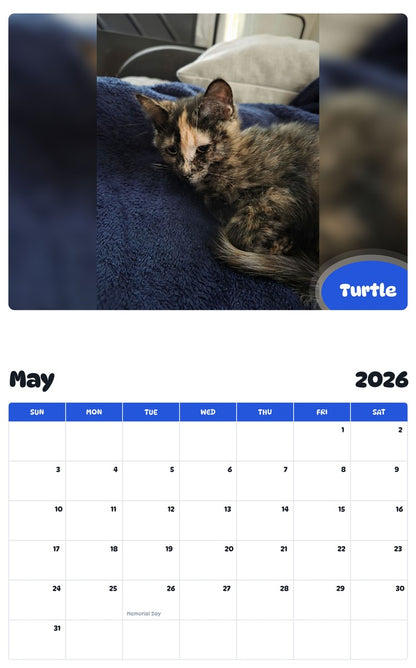 2026 - 2027 Turtle - Pawidols Pet Calendar