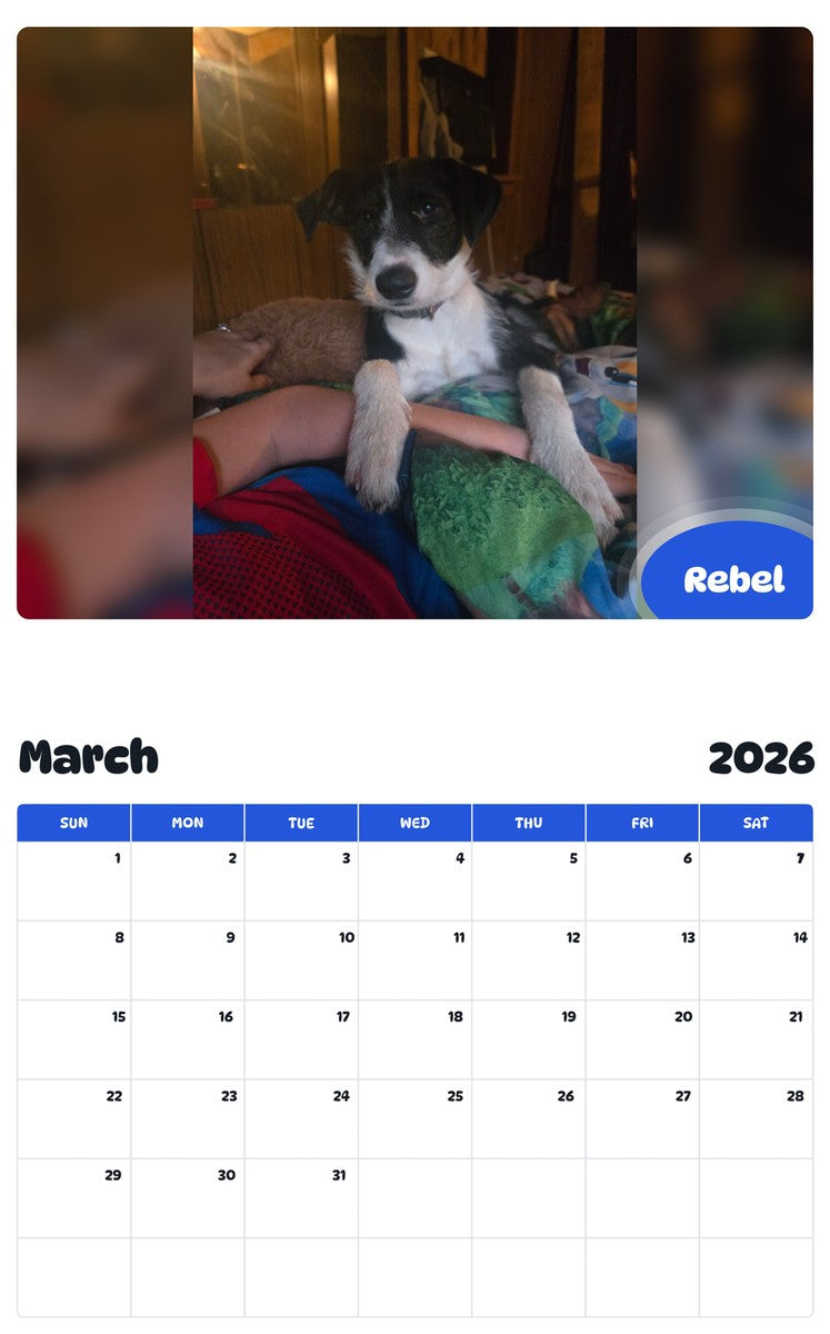 November 2025 - October 2026 Rebel - Pawidols Pet Calendar
