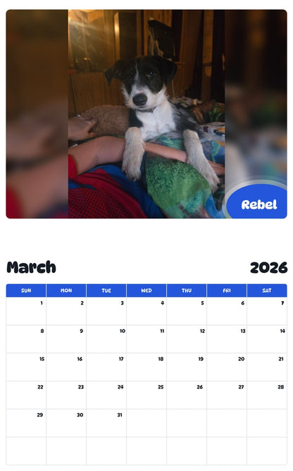 November 2025 - October 2026 Rebel - Pawidols Pet Calendar