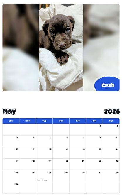 2026 - 2027 Cash - Pawidols Pet Calendar