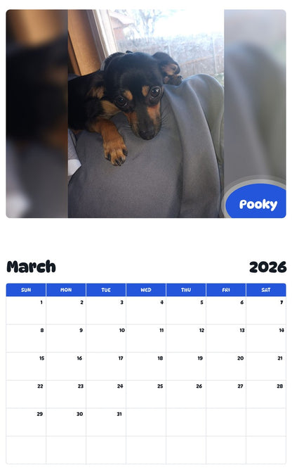 November 2025 - October 2026 Pooky - Pawidols Pet Calendar