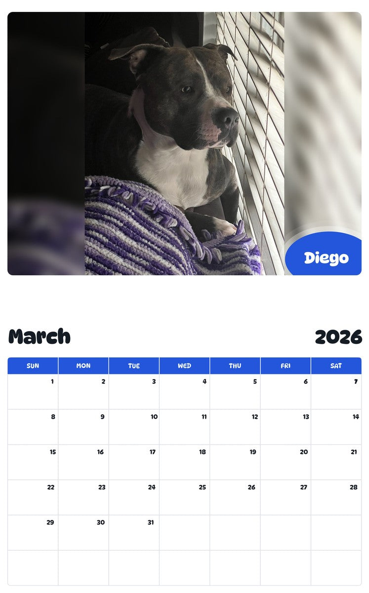 November 2025 - October 2026 Diego - Pawidols Pet Calendar