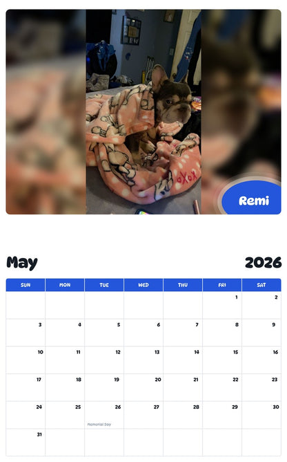 2026 - 2027 Remi - Pawidols Pet Calendar