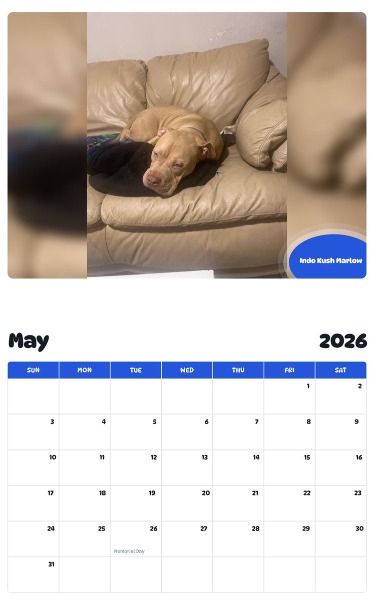 2026 - 2027 Indo Kush Marlow - Pawidols Pet Calendar