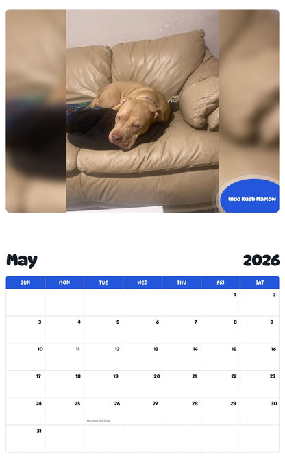 2026 - 2027 Indo Kush Marlow - Pawidols Pet Calendar