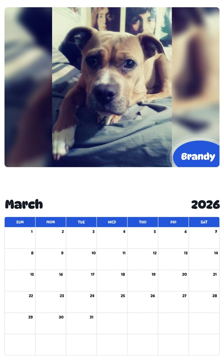 November 2025 - October 2026 Brandy - Pawidols Pet Calendar