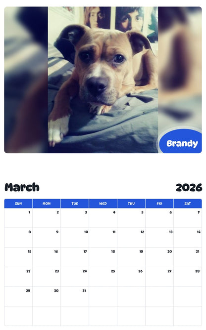 November 2025 - October 2026 Brandy - Pawidols Pet Calendar