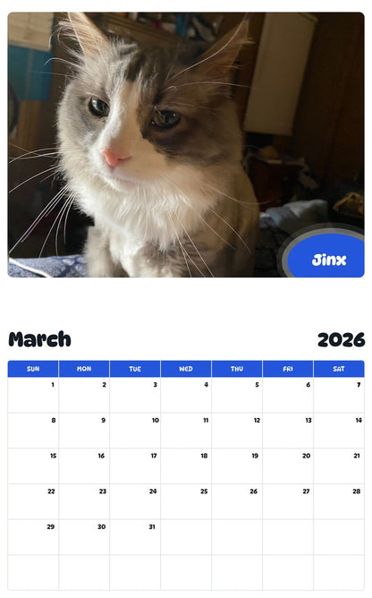 November 2025 - October 2026 Jinx - Pawidols Pet Calendar