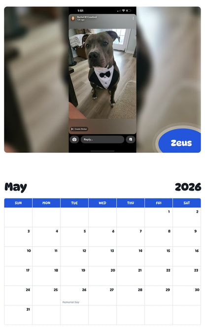 2026 - 2027 Zeus - Pawidols Pet Calendar