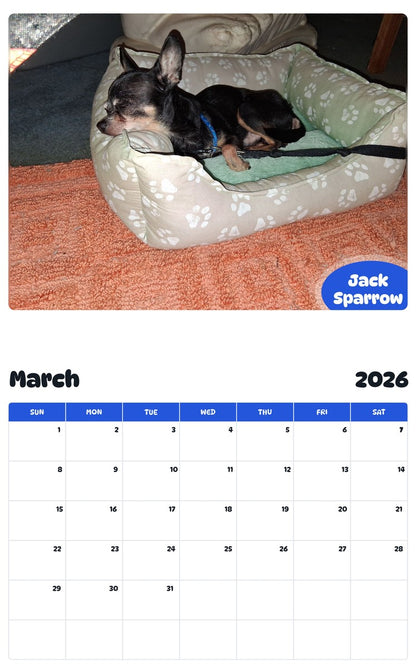 November 2025 - October 2026 Jack Sparrow - Pawidols Pet Calendar
