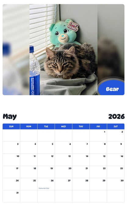 2026 - 2027 Bear - Pawidols Pet Calendar