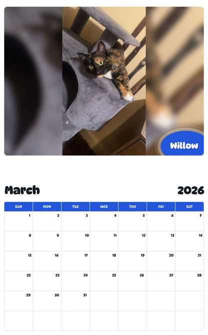 November 2025 - October 2026 Willow - Pawidols Pet Calendar